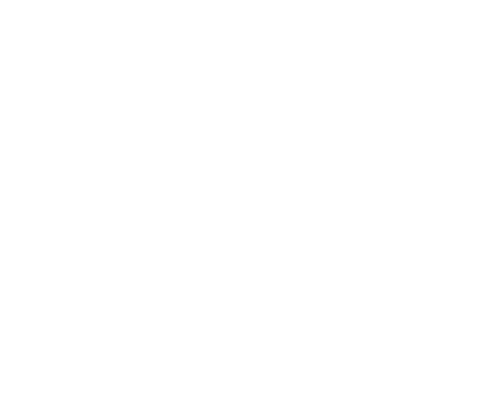 Pizza Icon